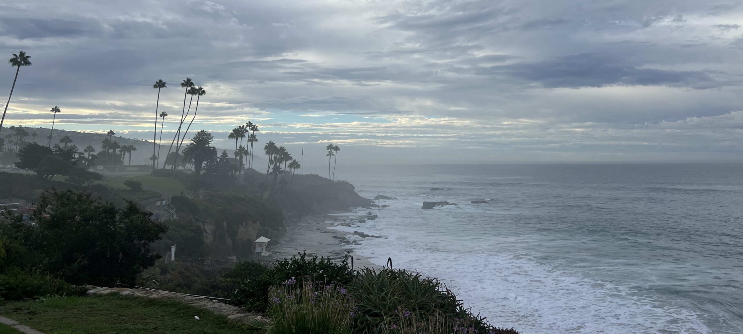Diver's Cove Looking South, Laguna Beach, CA (09/07/26)